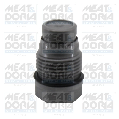 Pressure Limiting Valve, common rail system